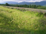 8rabenda070722g_u1.jpg