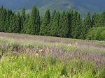 8rabenda070722g_u2.jpg