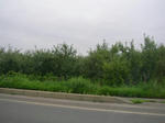 8ringo070817o_u1.jpg