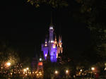 DSCF0782.JPG