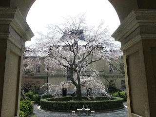 20130324.jpg