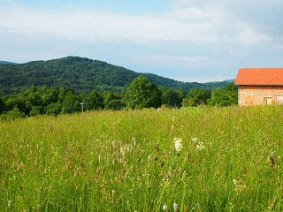 P6111114-2.jpg