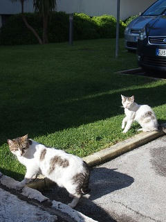 P6121292-2.jpg