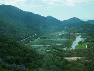 P6121495-2.jpg
