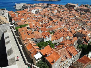 P6131634-2.jpg
