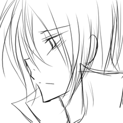 骸