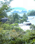 070807-180031.jpg