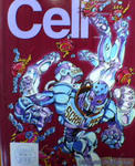 cell.jpg