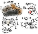 nuko.jpg
