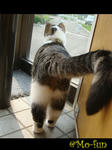 20080522a.jpg