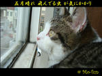 20080522c.jpg