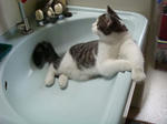 20080523d.jpg
