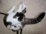 20080523e.jpg