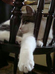 20080523f.jpg
