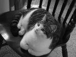 20080523h.jpg