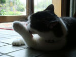 20080524a.jpg