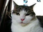 20080524b.jpg