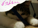 20050525d.jpg