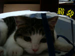 20050525b.jpg