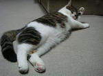20080526a.jpg