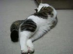 20080526c.jpg
