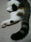 20080526d.jpg