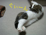 20080526e.jpg