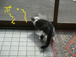 20080529b.jpg