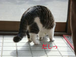 20080529c.jpg