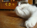 20080529g.jpg