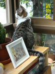 20080602a.jpg
