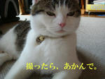 20060604d.jpg