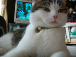 20060604g.jpg