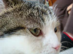 20060604h.jpg
