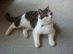 20060604i.jpg