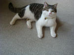 20060604j.jpg