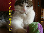 20080605a.jpg