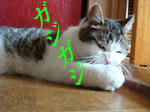20080605e.jpg