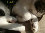 20080608b.jpg