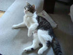 20080613b.jpg