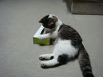 20080615b.jpg