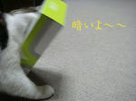20080615d.jpg