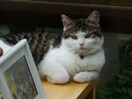 200806016c.jpg