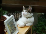 20060616b.jpg