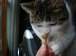 20080621a.jpg
