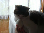 20080621c.jpg