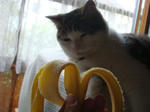 20080621d.jpg