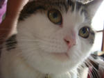 20080621i.jpg