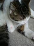 20080621j.jpg