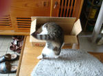 200806234a.jpg